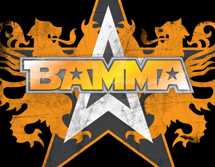 BAMMA 10 WITH ROB SINCLAIR, ANDRE WINNER AND CURT WARBURTON